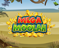 Second Plus Gros Jackpot Mega Moolah de l'Année
